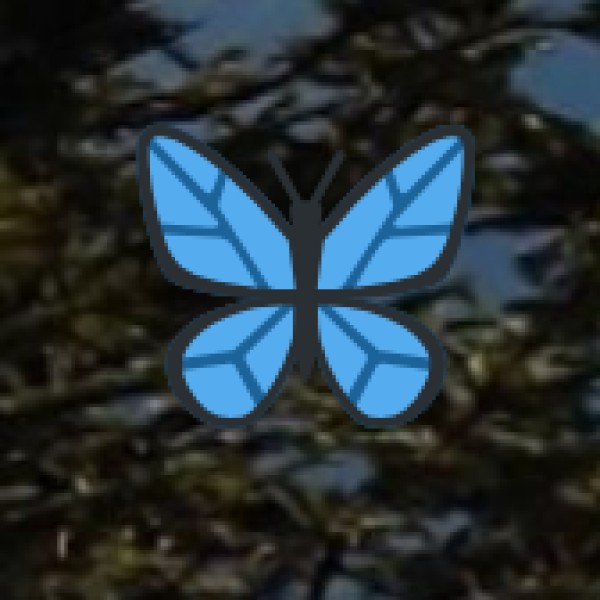 Spa & Holistic Wellness