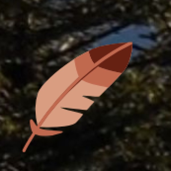 o Setting up AYUSH facilities: