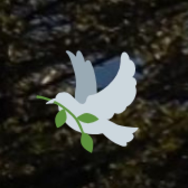 Key Elements of Wellness Tourism in Tamil Nadu