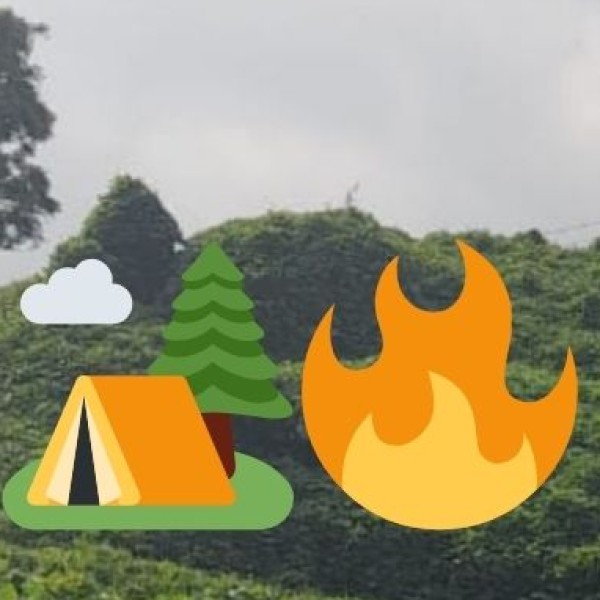 Ayurveda & Wellness Education & Research Hubs