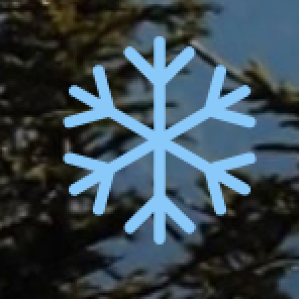 • Cost-Effectiveness: