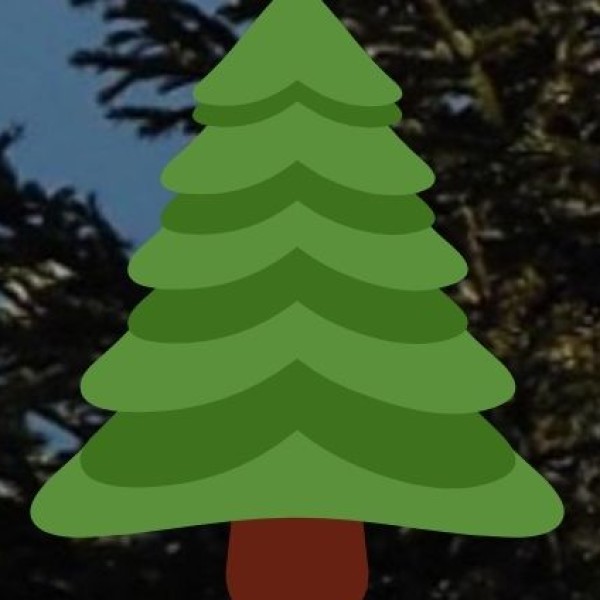 Forest Essentials Ayurvedic Spa – Udaipur & Jaipur