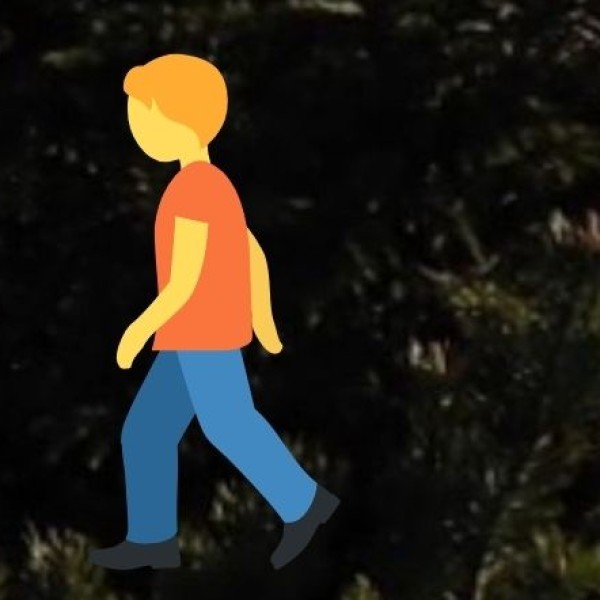 Ayurveda & Wellness Tourism in Uttarakhand