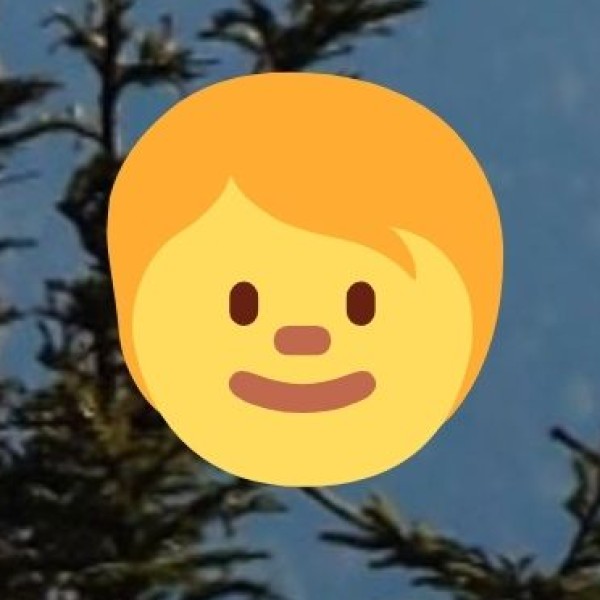 Types of Wellness Accommodation