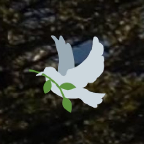 Wellness travel is often bundled with: