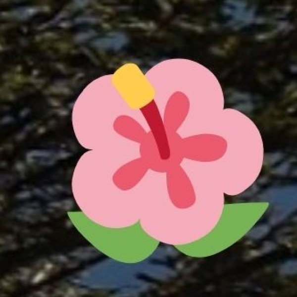 AYURVEDA CENTERS & WELLNESS RETREATS