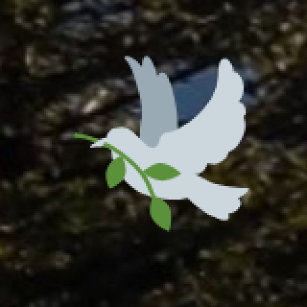 Key Wellness & Ayurveda Centres in Uttar Pradesh