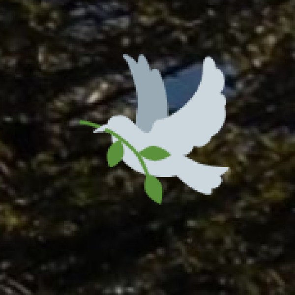 Government Support & Ayurveda Promotion