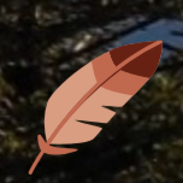 • Traditional Healing Experiences: