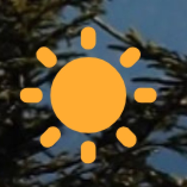 Wellness Therapies Offered