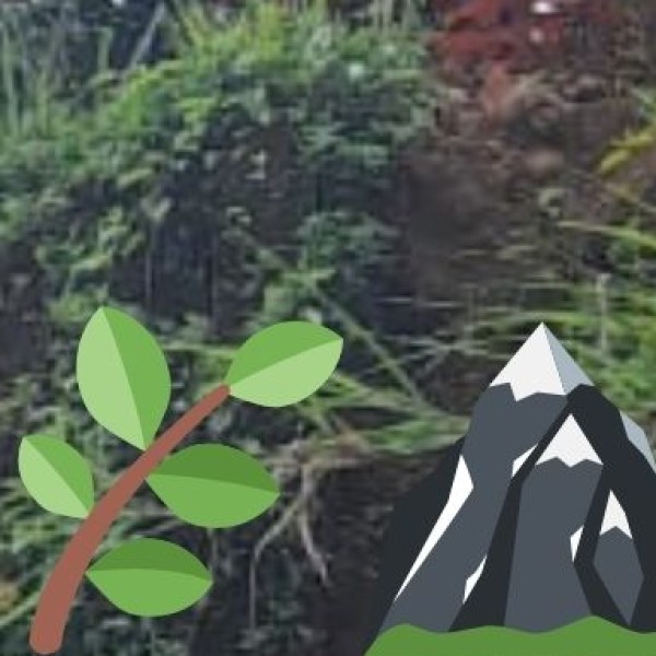 Chikkamagaluru & Western Ghats