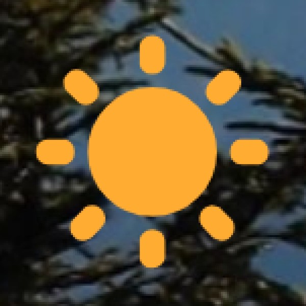 • Ayurvedic Clinics and Practitioners: