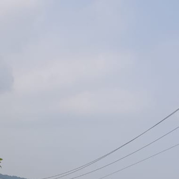 Wellness Centers & Retreats in Tamil Nadu