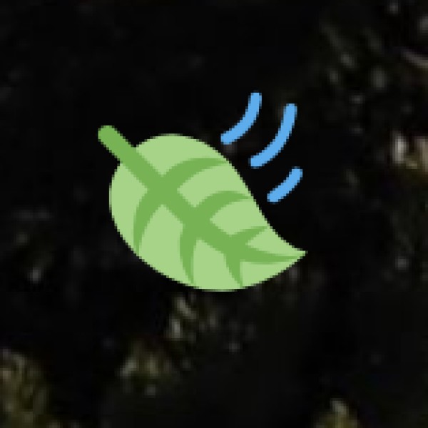 Naturopathy Centers in Mount Abu