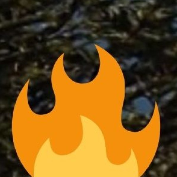 Popular Ayurvedic & Wellness Destinations in Karnataka