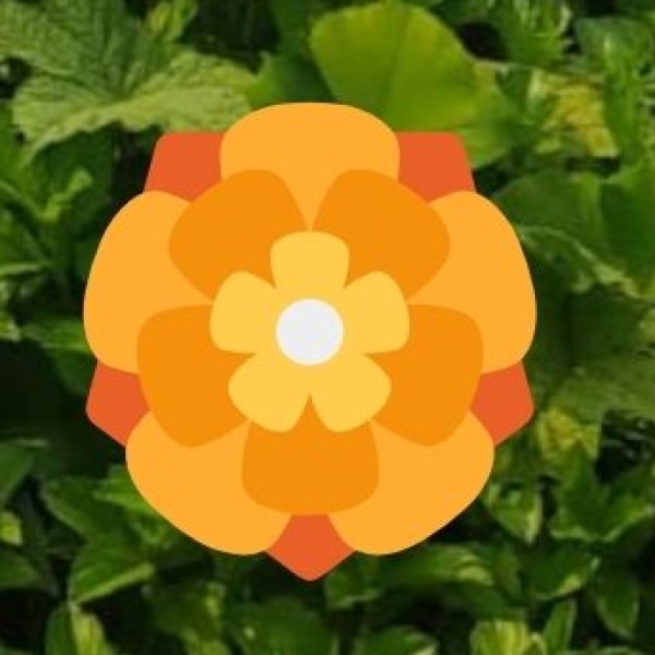 Herbal & Tribal Wellness Treatments