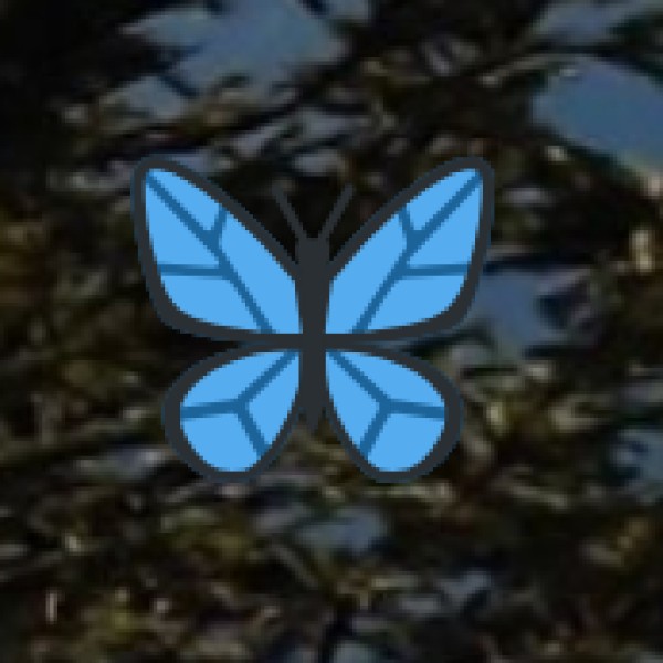 Major Ayurveda & Wellness Tourism Destinations in India