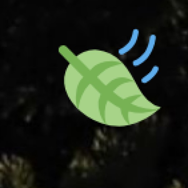 Wellness Tourism in Daman & Diu: