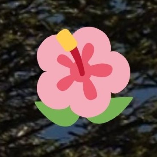 • Growing Presence: