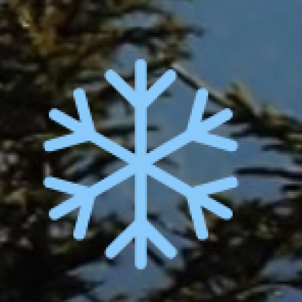 WELLNESS SERVICES OFFERED