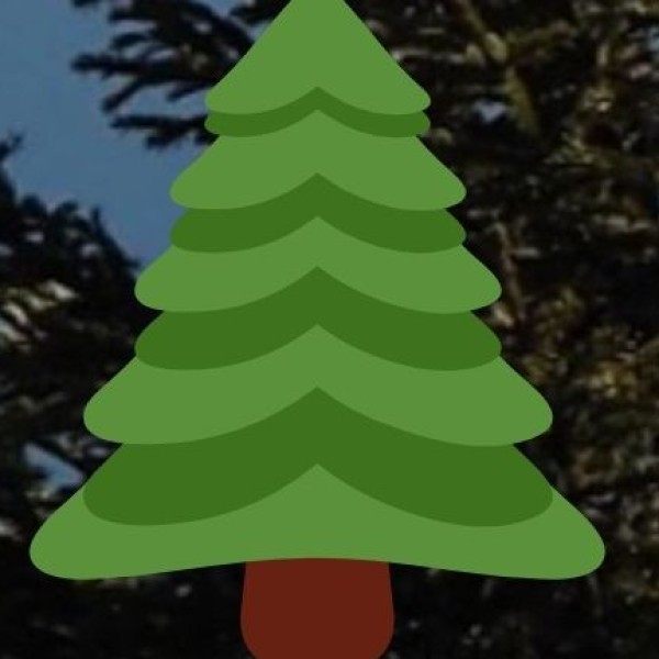 Eco Retreat Odisha (Flagship Wellness Initiative)