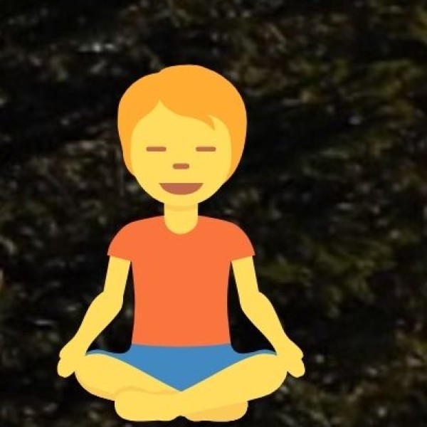 Integration with Yoga and Meditation