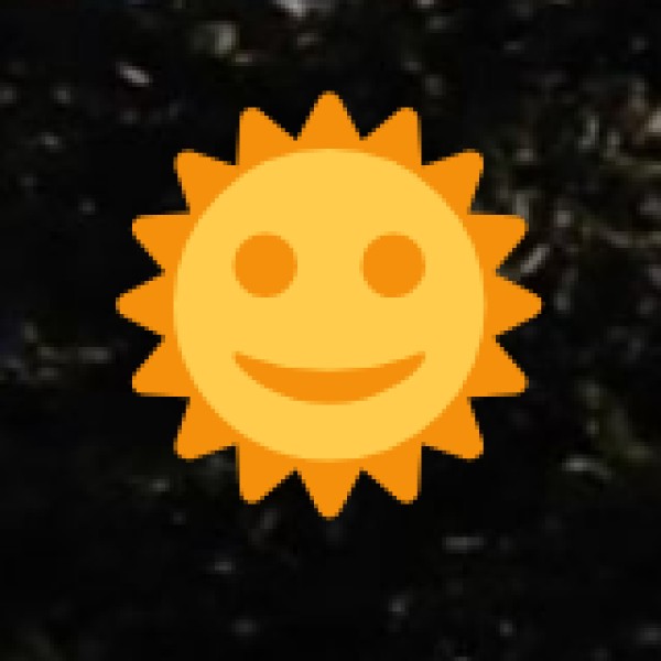 Why Rajasthan for Wellness Tourism?