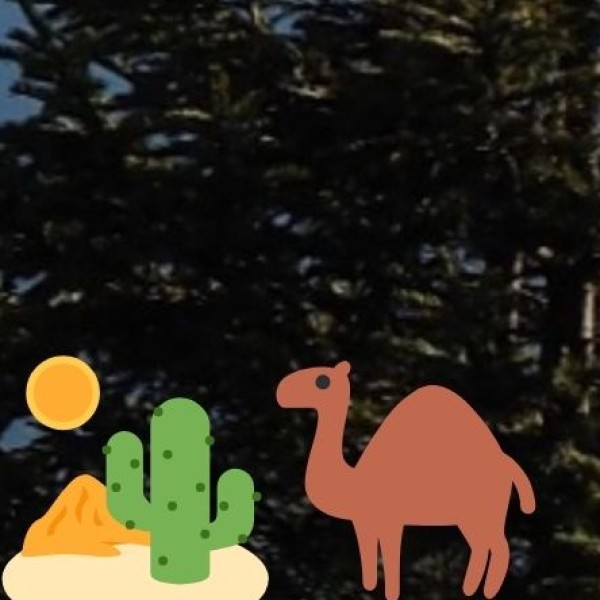 Shirodhara (Oil dripping on forehead)