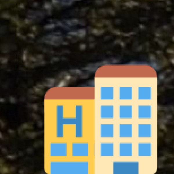 Ropana Ayurvedic Hospital – Attapur, Hyderabad