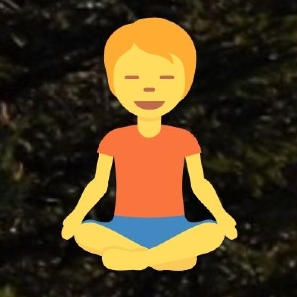 • Yoga and Meditation: