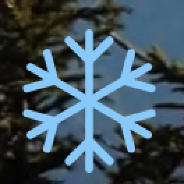 Ayurveda in Maharashtra: Historical & Cultural Context