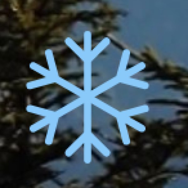 Key Components of Wellness Tourism in Karnataka