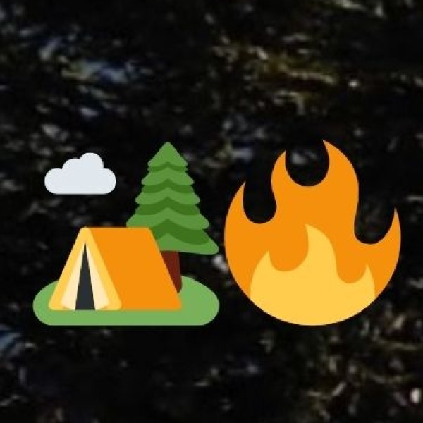 Challenges & Future Potential