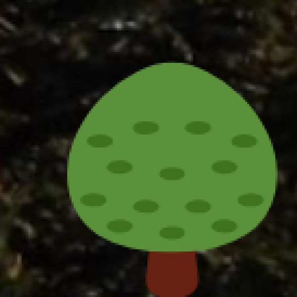 MAJOR AYURVEDIC & WELLNESS DESTINATIONS