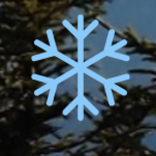 Common Ayurvedic Treatments Offered