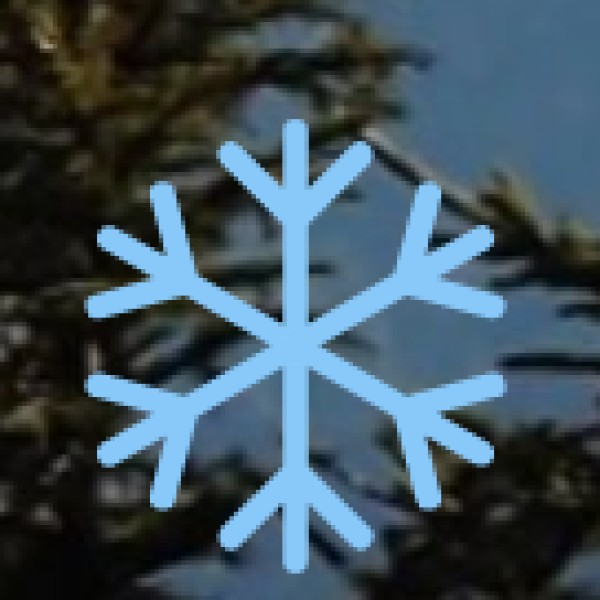 Cultural & Traditional Roots: