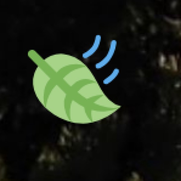 Unique Experiences for Wellness Tourists