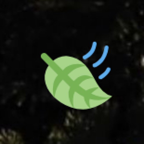 Velas Beach – Maharashtra’s Famous Turtle Conservation Beach