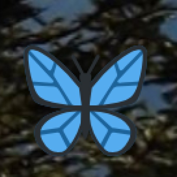 Mangalore Beaches (Dakshina Kannada)