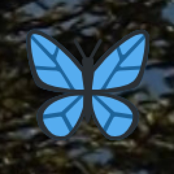 Top Activities in Lakshadweep