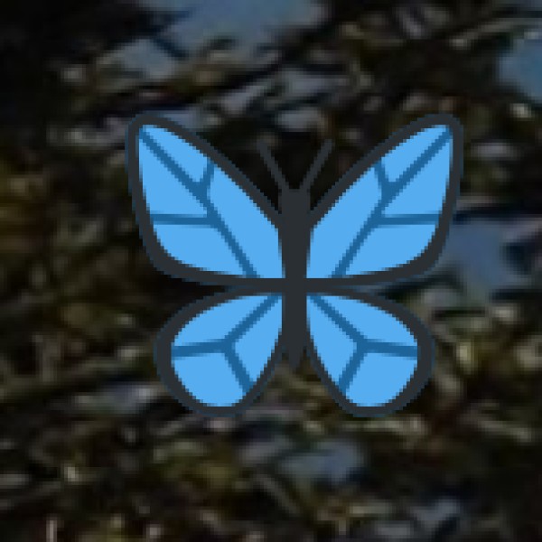 Best Places for Nightlife in Goa