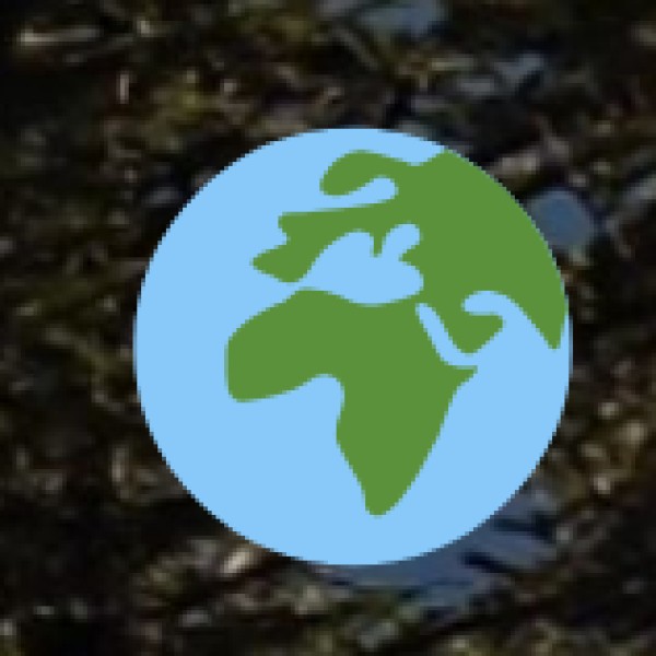 Serenity Beach – A Haven for Surfers