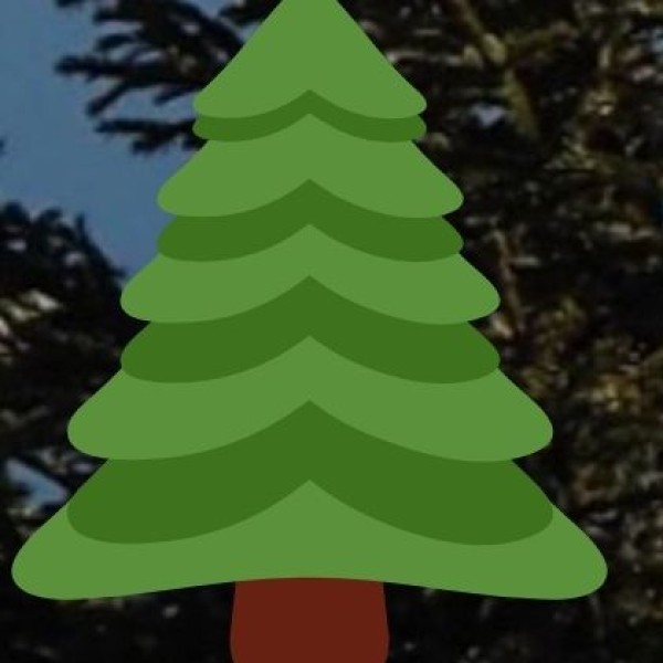 Unique Forest Ecosystems and Green Spaces: