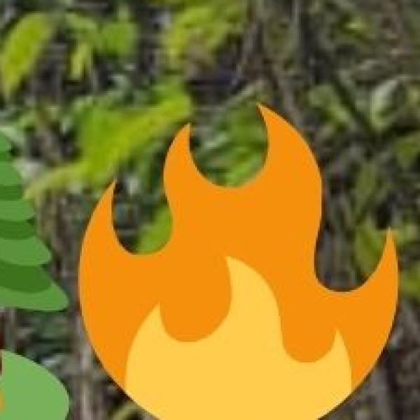 Ecotourism & Sustainable Travel