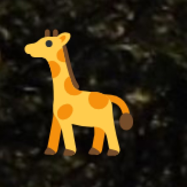 Wildlife and Eco Tourism