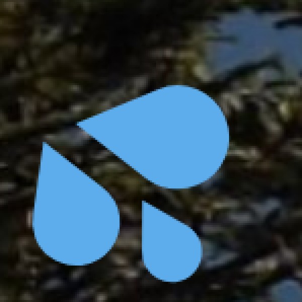 Sinquerim Beach – Best for Water Sports & Luxury Resorts