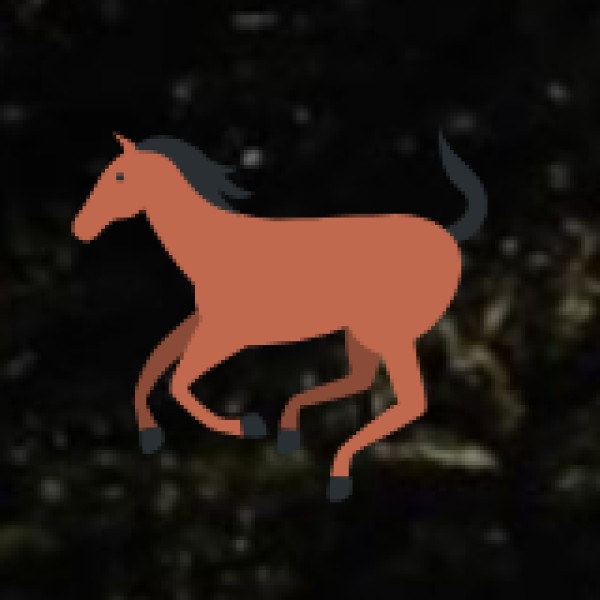 Eco and Responsible Tourism