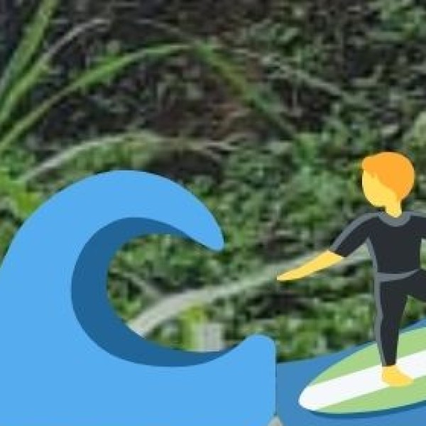 Why Visit Andhra Pradesh’s Beaches?