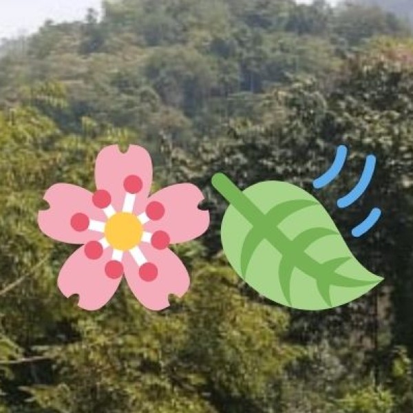 Tourism Statistics & Trends