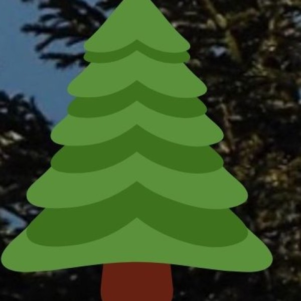 • Dzukou Valley and Japfu Peak (near Kohima):